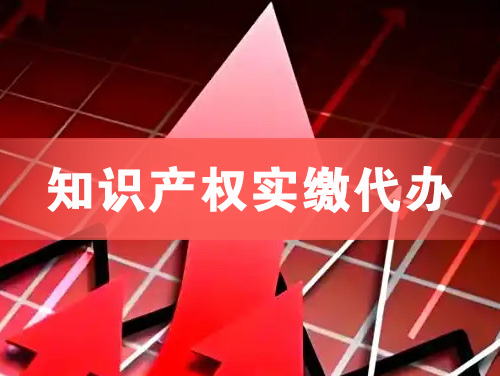 大竹知识产权实缴资本代办